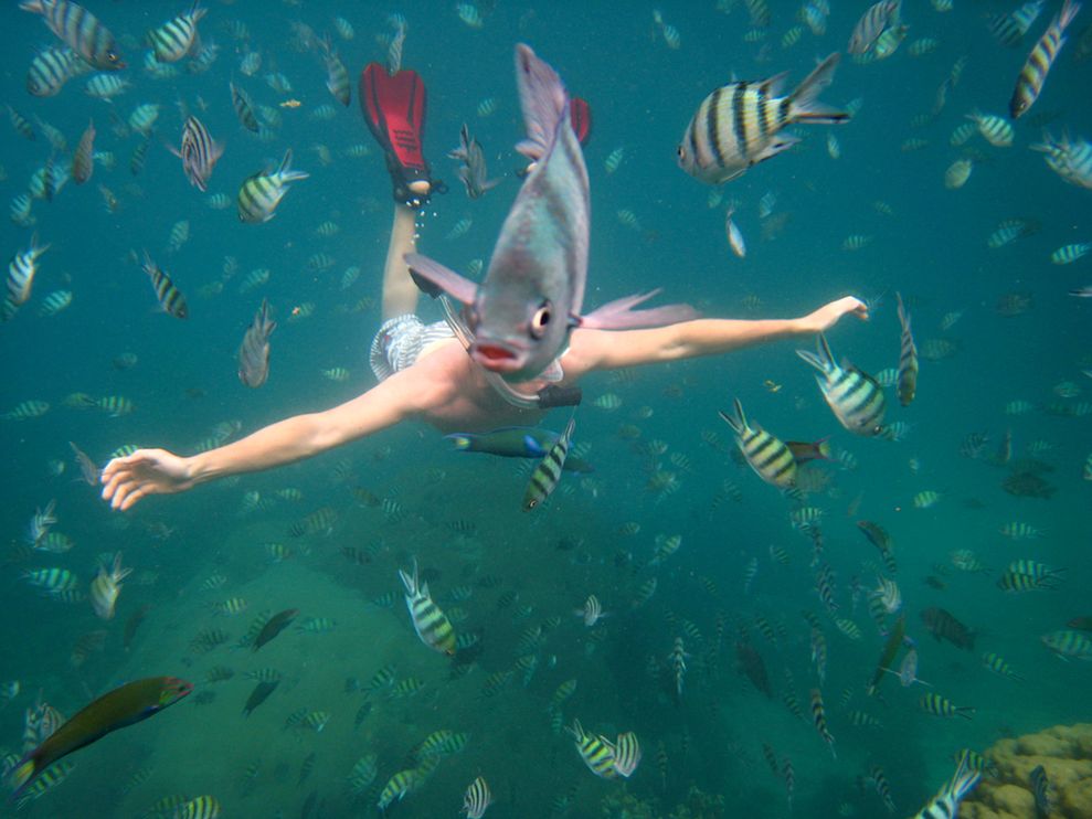 snorkeler-underwater-thailand-Nick Kelly